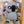 Load image into Gallery viewer, SOFT TOY | Koala
