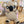 Load image into Gallery viewer, SOFT TOY | Koala
